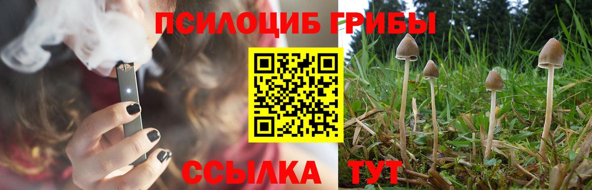 Галлюциногенные грибы мицелий  Вход с VPN  Псилоцибиновые грибы Psilocybine cubensis  Владикавказ 